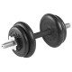 Гантель разборная 10 кг TITAN Barbell - d26